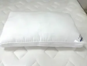 Dream Cush Pillow