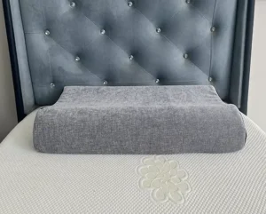 Neck Sense Convertible Pillow price in Nepal