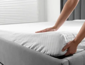 Bed Sheets price in Nepal
