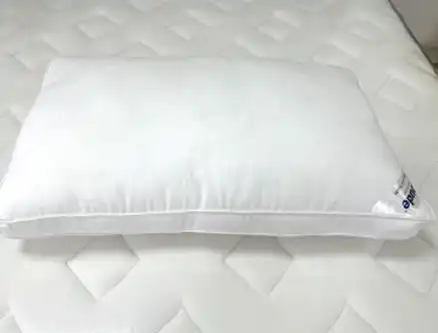 IRIS Pillow price in Nepal